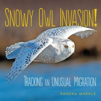 Snowy_Owl_Invasion_